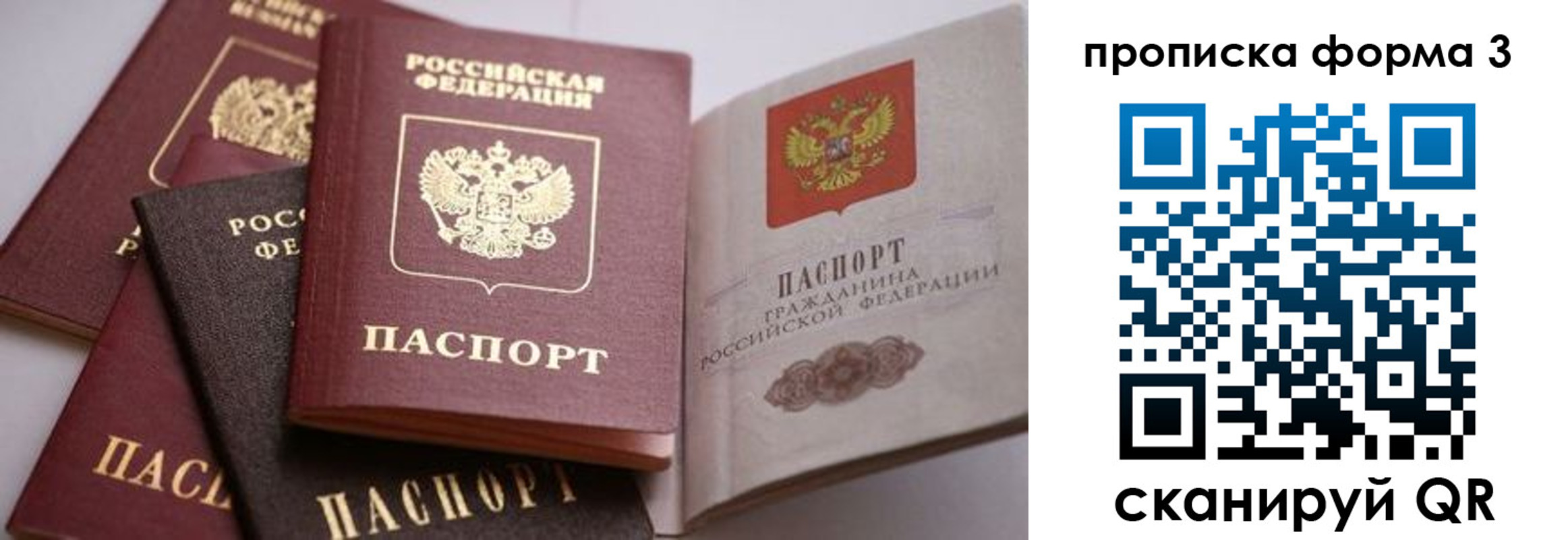 прописка для школы в Иркутской области